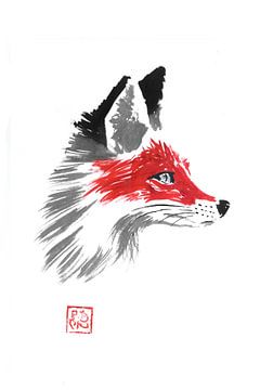 red fox sur Péchane Sumie