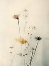 Botanisch vervaagd, Japandi stijl van Japandi Art Studio thumbnail