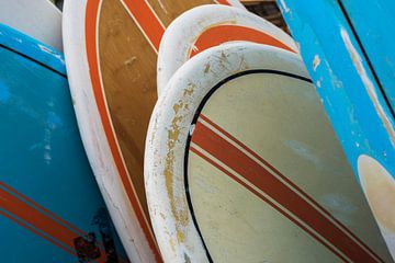 Planches de surf sur Blond Beeld