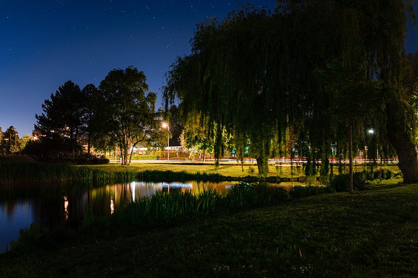 Ein Stück Natur neben der Kirche des Guten Hirten in Ridderkerk von Rens Bok