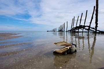 Bretagne by Reinier van de Pol