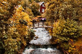 Arbres fruitiers le long d'un ruisseau avec un petit pont devant une maison en bois rouge en Suède.