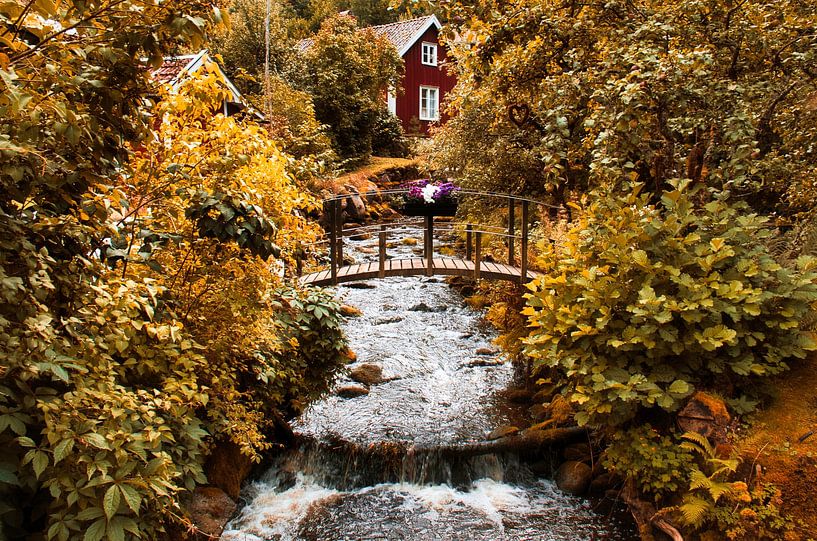 Fruit trees by a stream with a small bridge in front of a red wooden house in Sweden. by Martin Köbsch