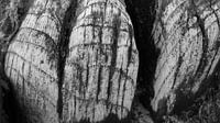 hout sructuren