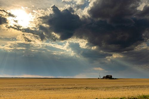 Abandoned farm in the Praerie in Canada