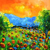 Couleurs Vibrantes