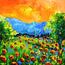Vibrant Colors