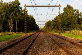 Taking  A Trip by Brian Morgan