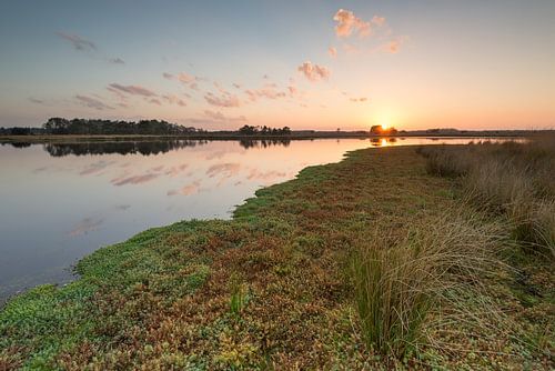 Strabrechtse Heide 230