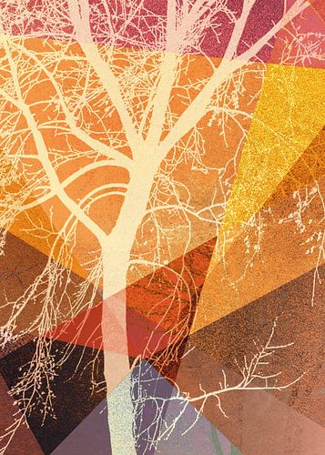 P22-C1 BOMEN EN DRIEHOEKEN