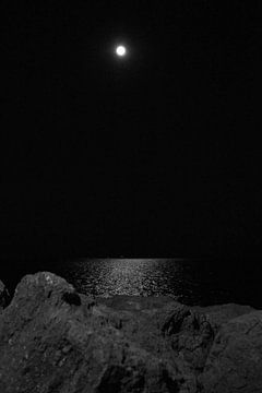 Het maanlicht dat schijnt op de zee van Luca Claes