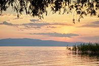 Pastellfarbener Sonnenuntergang von Ohridsee Mazedonien von Cor de Hamer Miniaturansicht
