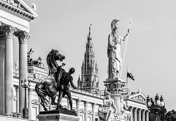 Parliament building and city hall in Vienna - Monochrome by Werner Dieterich
