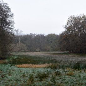 A panorama of a meadow by Gerard de Zwaan