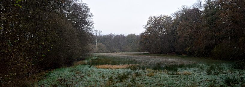 Ein Panorama einer Wiese von Gerard de Zwaan