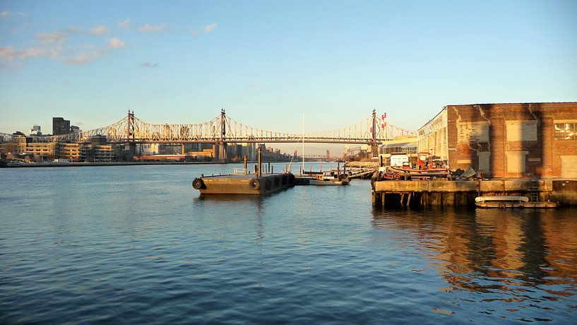 'Roosevelt bridge', New York  van Martine Joanne