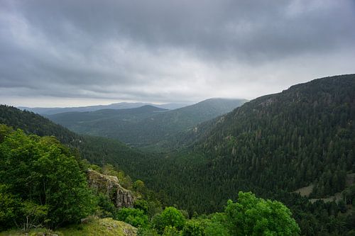 Frankrijk - Rotsachtige vallei in bos en boslandschap met regen