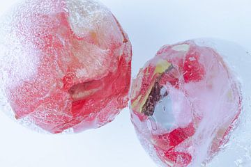 Bloesems van de anemoon in ijs 1 van Marc Heiligenstein