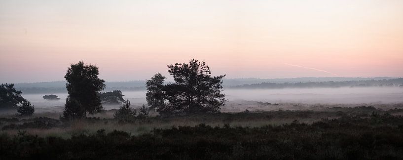 Morgennebel über der Edese-Heide von Eric Wander
