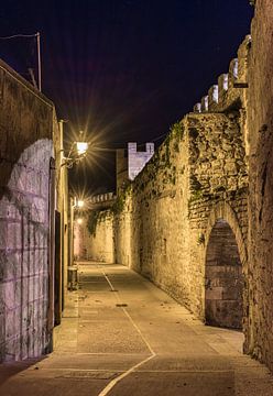 Oude middeleeuwse vestingmuur bij oude stad Alcudia, Mallorca Spanje bij nacht van Alex Winter