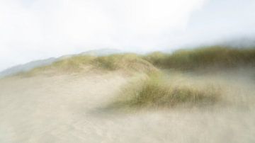 De duinen op Ameland in ICM - 1 van Danny Budts