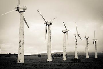 Windmills in Hawaii by Ellis Peeters
