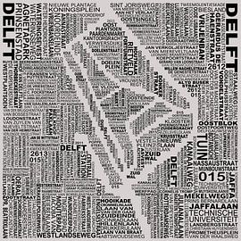 Map of Delft by Stef van Campen