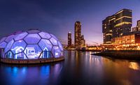Rotterdam in der blauen Stunde von Kevin van Deursen Miniaturansicht