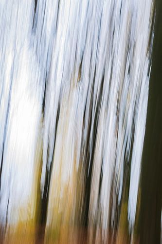 Herfst bij Boshuis Drie, abstracte variant #4