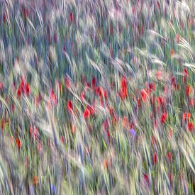 Tanzende Mohnblumen im Mais von Jannie Looge