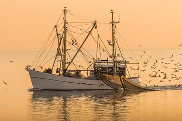 Vissersboot op de Noordzee