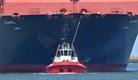 Schlepper mit Containerschiff am Kabel