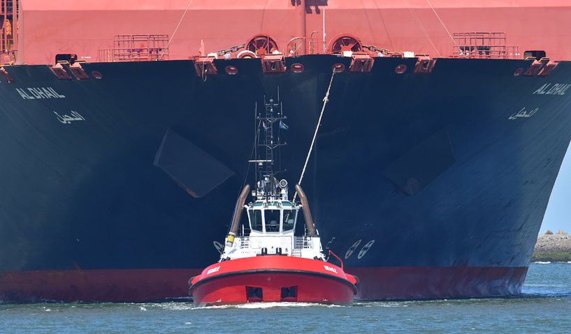 Schlepper mit Containerschiff am Kabel von Piet Kooistra