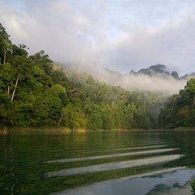 Het uitzicht in de vroege morgen in Khao Sok by Raymond Gerritsen