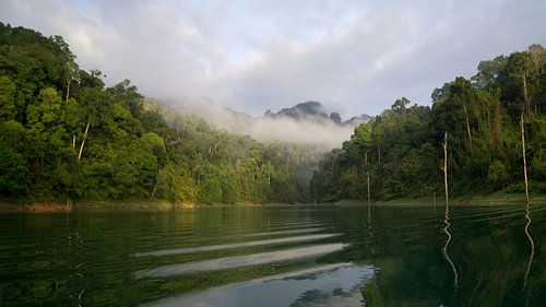 Het uitzicht in de vroege morgen in Khao Sok