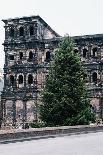 Porta Nigra kerstboom