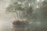 November Islet (Diaconie-ven)