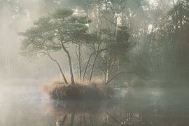 November Inselchen (Diakonatven) von Onbegonnen werk