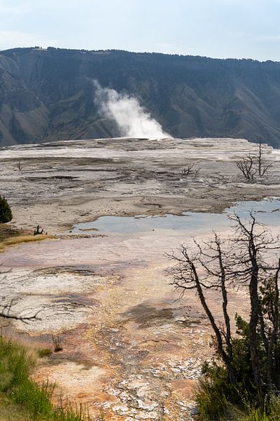 Mammoth Hot Springs, Yellowstone National Park, USA by Jeroen van Deel