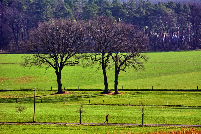 Jogger par Edgar Schermaul