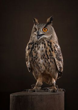 Uhu von Elles Rijsdijk