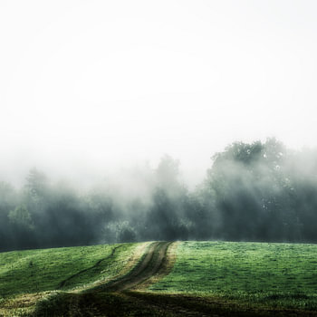 Landschaft