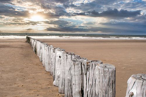 Compositie op het strand