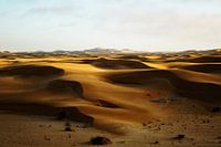 L'heure d'or dans le Namib