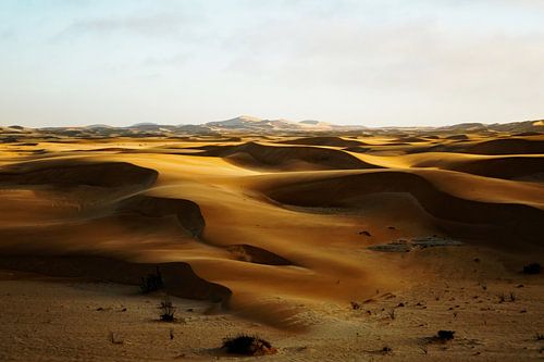 Golden hour in the Namib