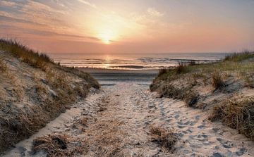 Eingang zum Strand von Texel  von John Leeninga