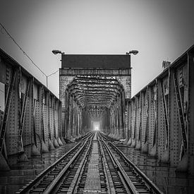 Railroad to no man's land by Gunter Nuyts