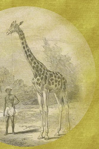 Girafe avec accompagnateur esquissée sur or