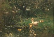 Canards, Willem Maris par Des maîtres magistraux Aperçu