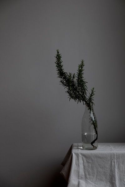 Nature morte de romarin frais sur l'eau par Lilian Bisschop